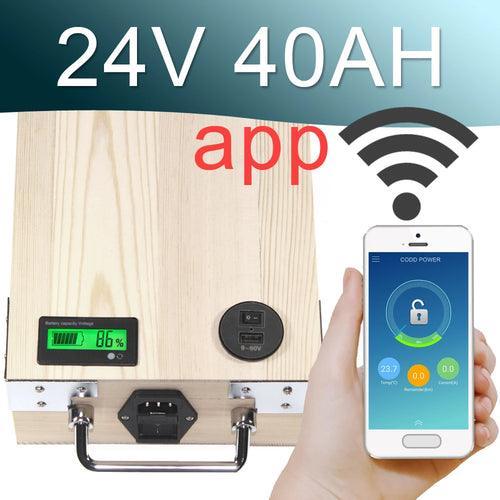 24V 40AH APP Lithium ion Electric bike Battery Phone control USB 2.0