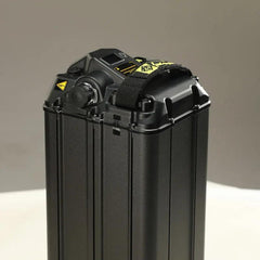 SURRON official upgrade Light bee high capacity lithium ion battery