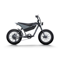 HAIDONG Electric Moped-Style Bike X3