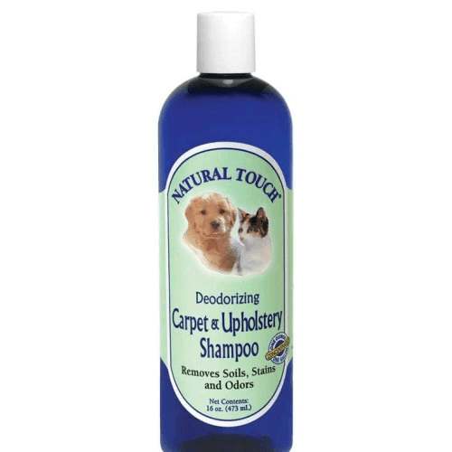 Cleaner, Stain-X Shampoo All Extractors 1/Gal 4/cs - VirtuousWares.Store