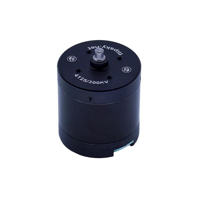 Flipsky single Drive F4125 brushless DC Motor for DIY Commuting direct - VirtuousWares.Store