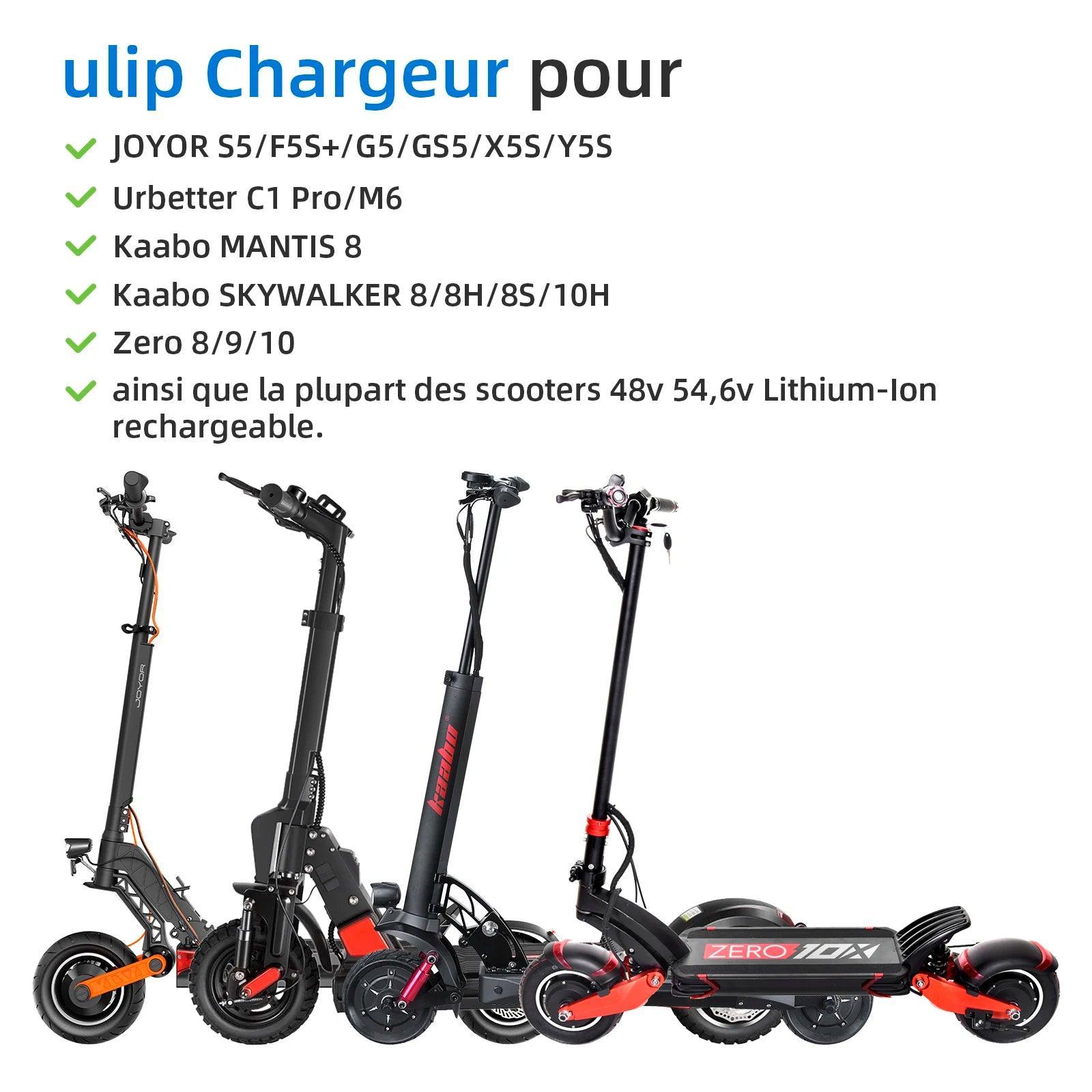 Ulip 54.6V 2A Scooter Battery Charger 48V EU Plug Power Supply - VirtuousWares.Store